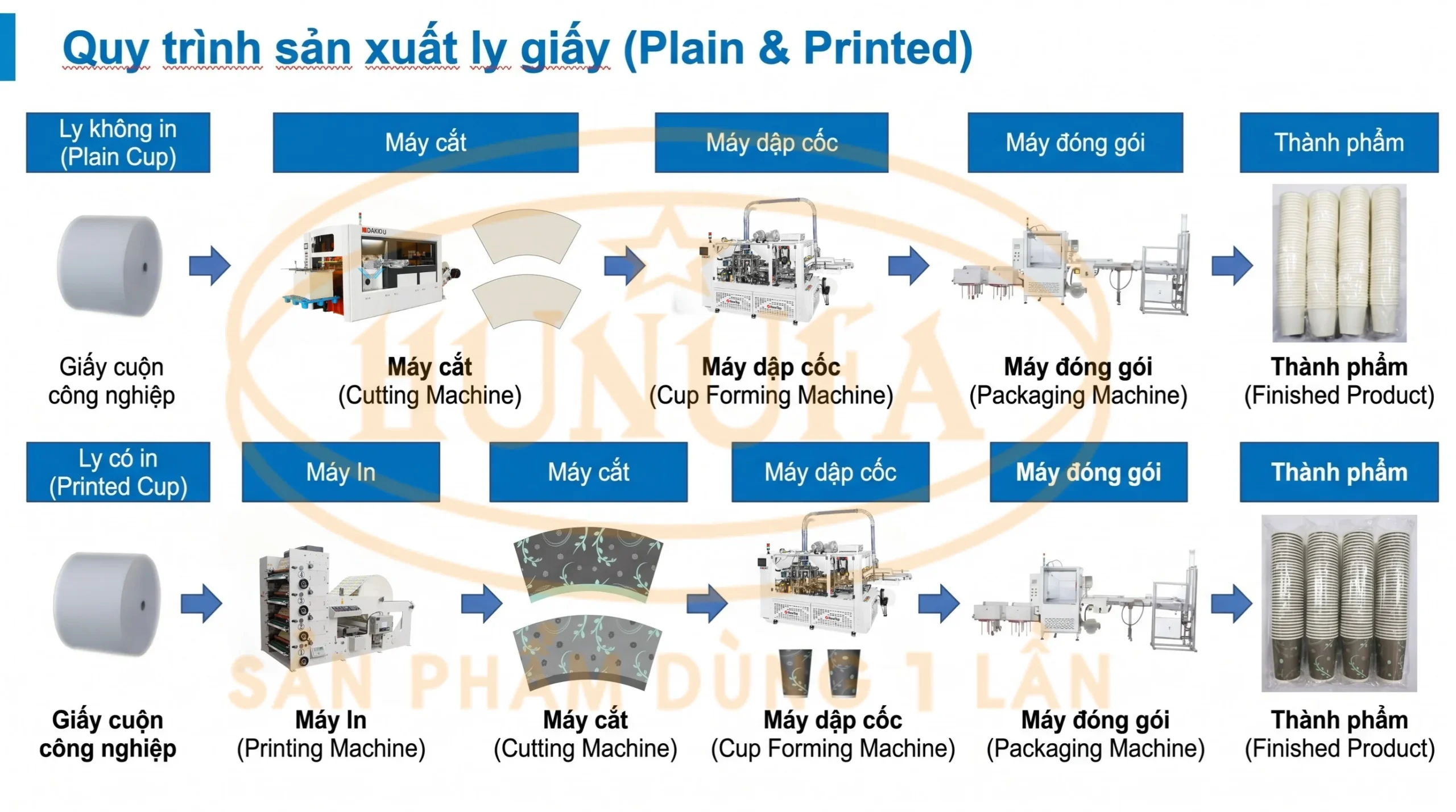 Quy trình sản xuất ly giấy tại Hunufa