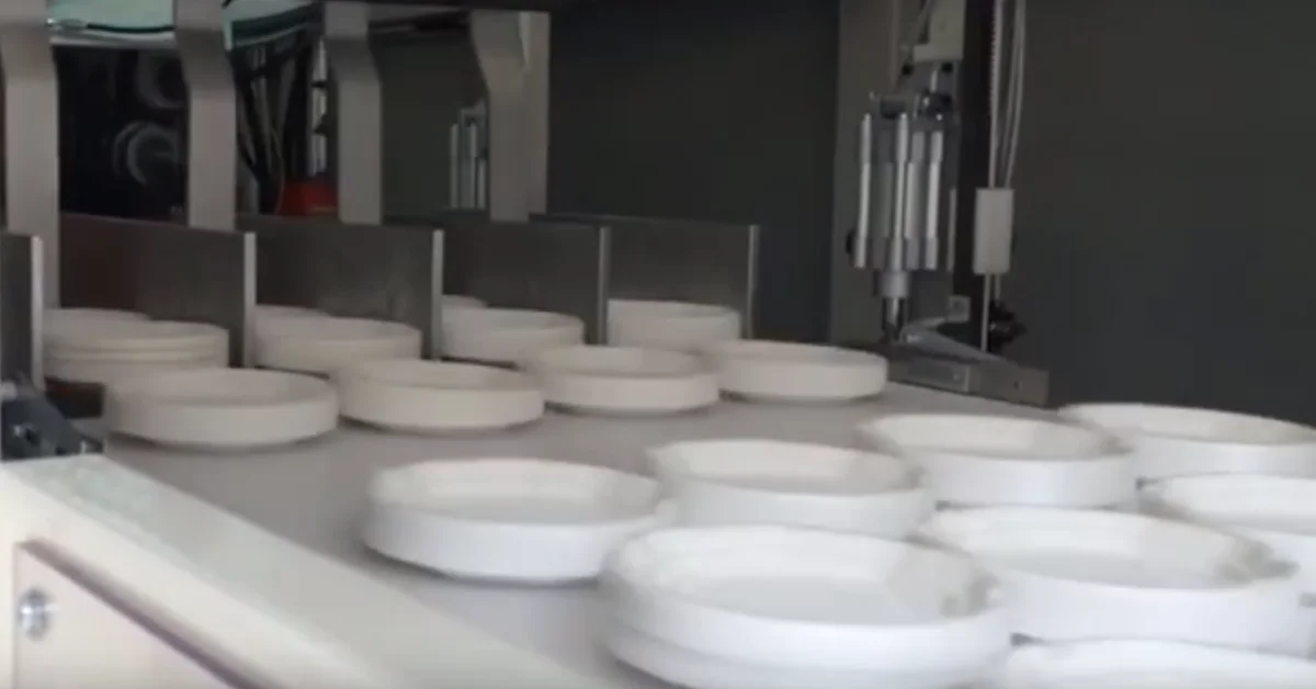 Top 6 công ty sản xuất khay xốp uy tín, chất lượng, giá tốt - Công Ty TNHH Bao Bì Long Phát