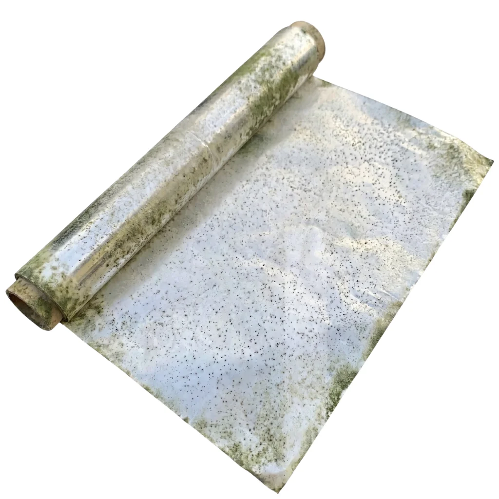 Giấy bạc bị mốc