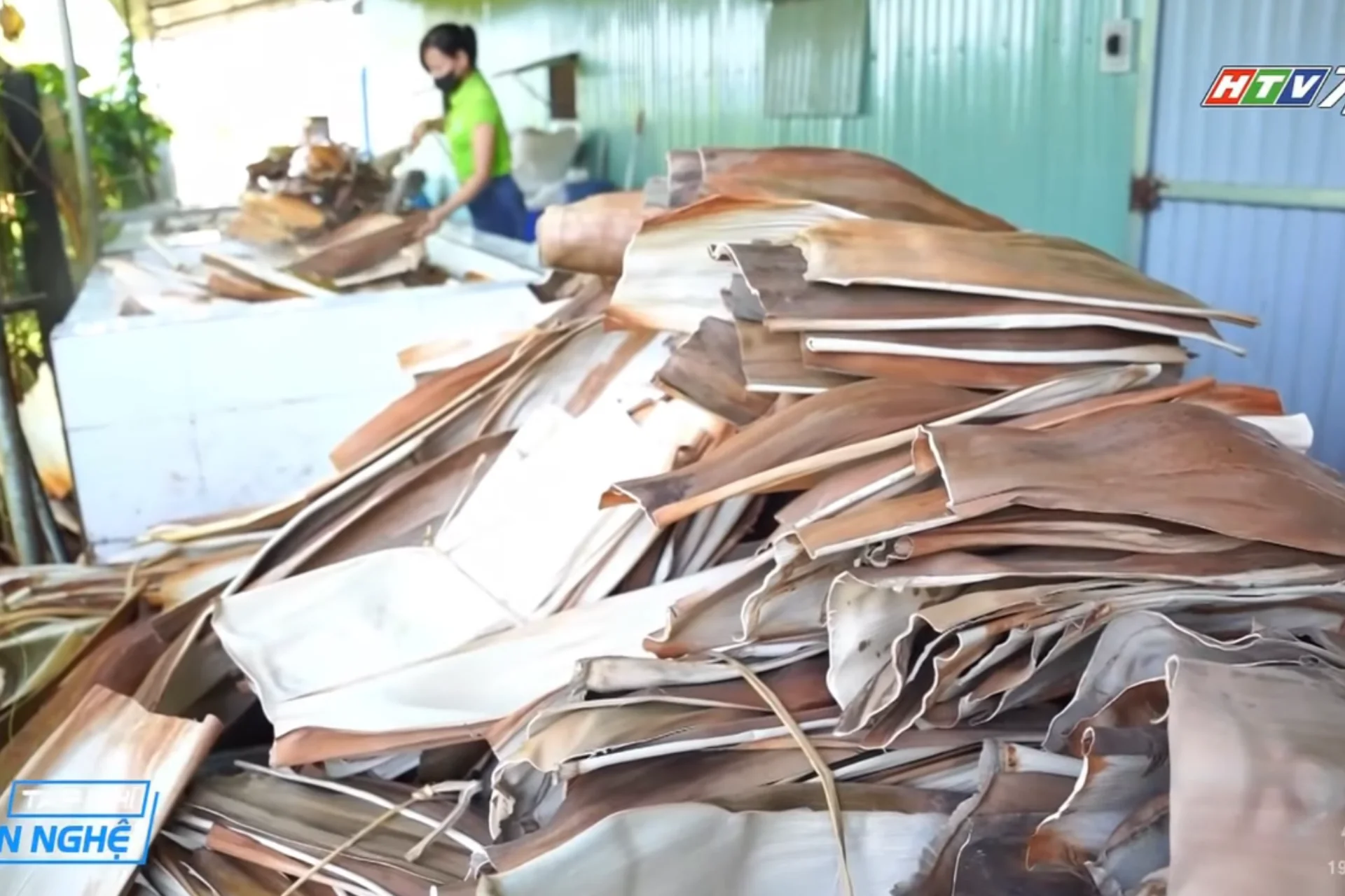 [Tạp Chí Văn Nghệ - HTV] - Tái sinh sản phẩm từ Mo Cau