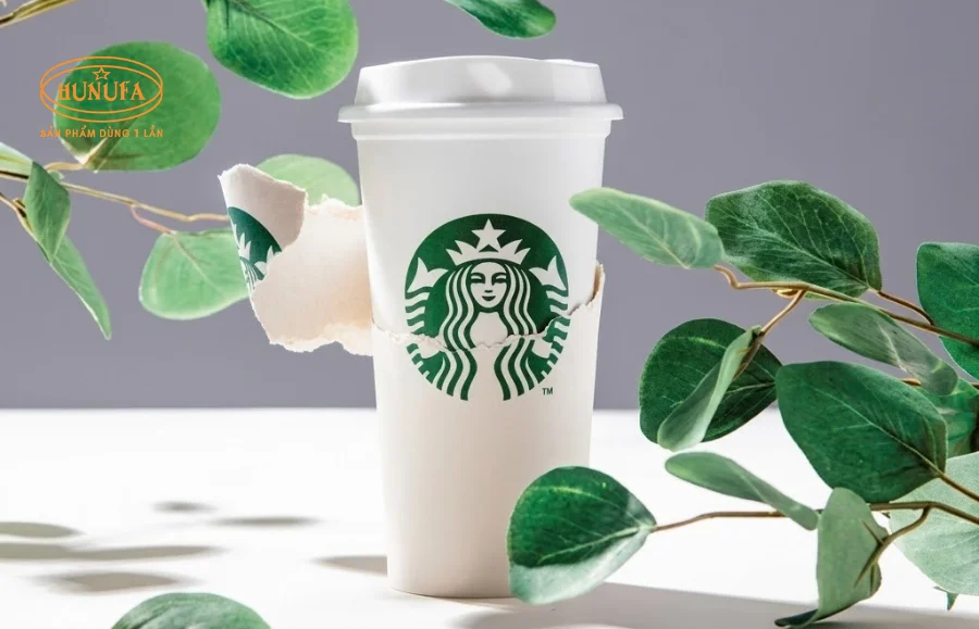 Ly giấy Starbucks & Nơi sản xuất, in ấn ly giấy chất lượng