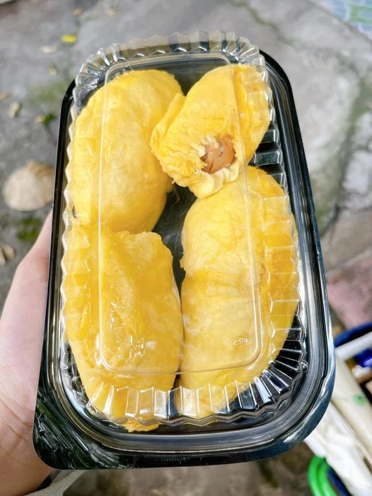 Hộp nhựa đựng sầu riêng 1 ngăn kèm nắp dùng 1 lần giá tốt 