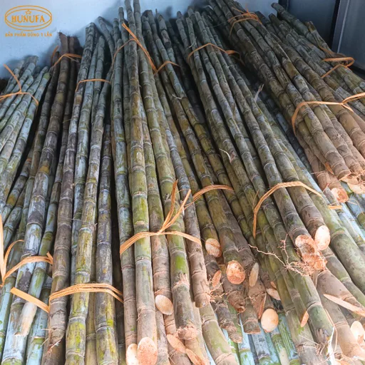 bán mía cây tại Hà Nội