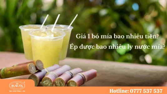 Giá 1 bó mía bao nhiêu tiền? Ép được bao nhiêu ly nước mía?