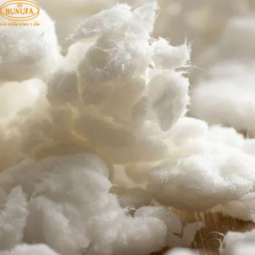 Bột giấy là gì? Các sản phẩm phổ biến làm từ bột giấy
