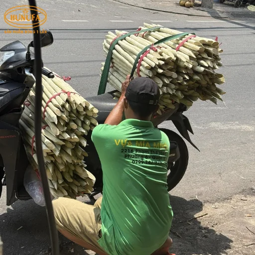 Vựa mía Đà Nẵng