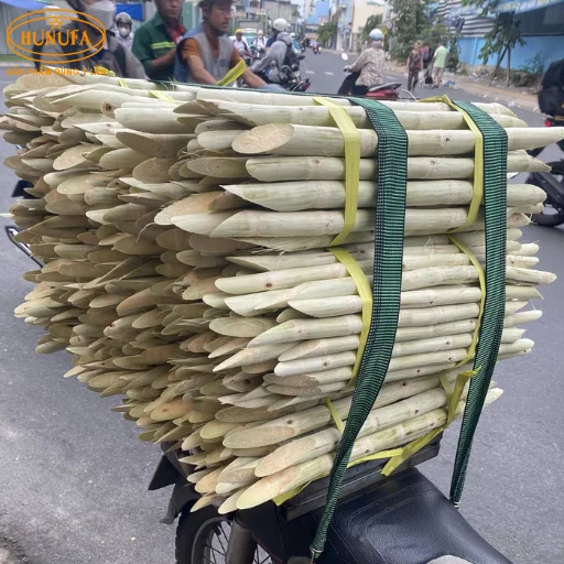 Vựa mía Đà Nẵng