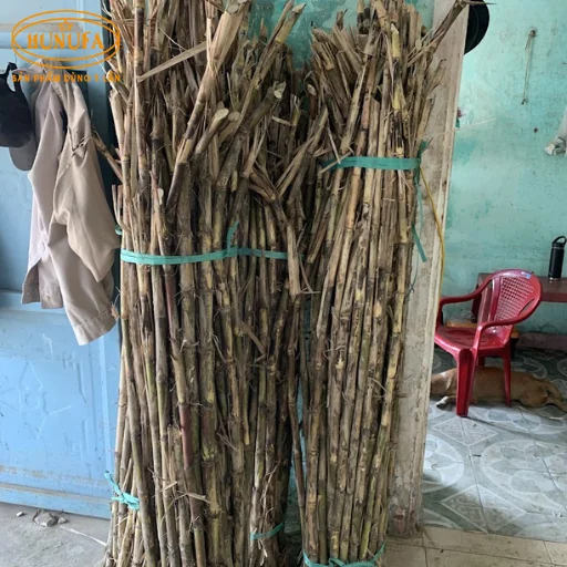 Vựa mía Đà Nẵng