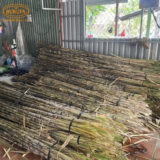 Vựa mía Đà Nẵng