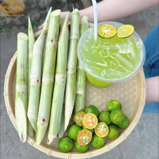 Mẫu ly nhựa đựng nước mía giá tốt, bền đẹp và nơi bán cốc nhựa uy tín