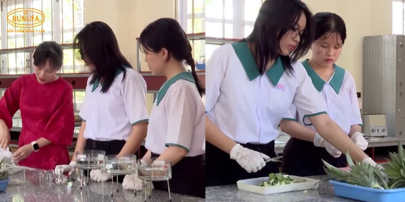 Độc lạ ly giấy phủ màng từ lá khóm: Bước đột phá mới cho sản phẩm dùng 1 lần