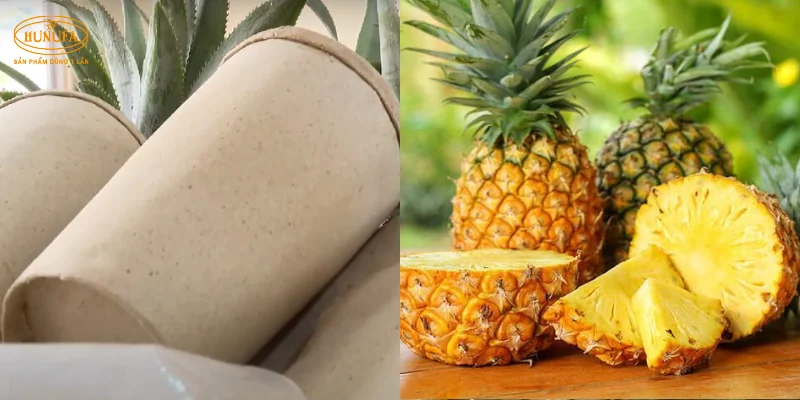 Độc lạ ly giấy phủ màng từ lá khóm: Bước đột phá mới cho sản phẩm dùng 1 lần