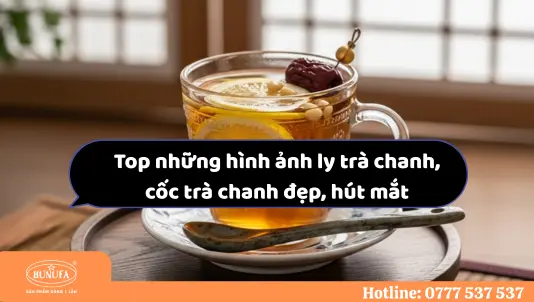 Tổng hợp các mẫu hình ảnh ly trà chanh đẹp, thu hút khách hàng