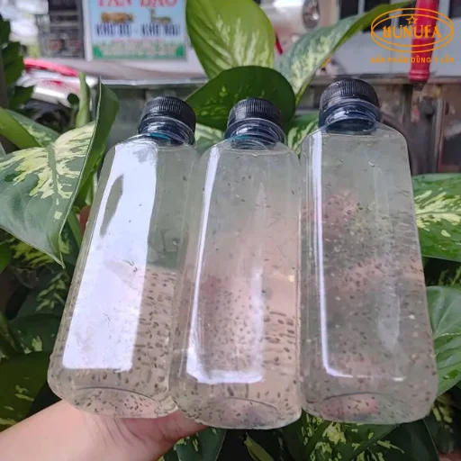 Bí quyết kinh doanh nước nha đam tại nhà, vốn nhỏ, lời đều mỗi ngày