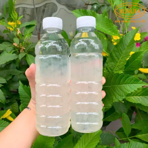 Bí quyết kinh doanh nước nha đam tại nhà, vốn nhỏ, lời đều mỗi ngày