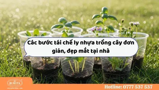 Tổng hợp các bước và các mẫu thiết kế cho ly nhựa trồng cây