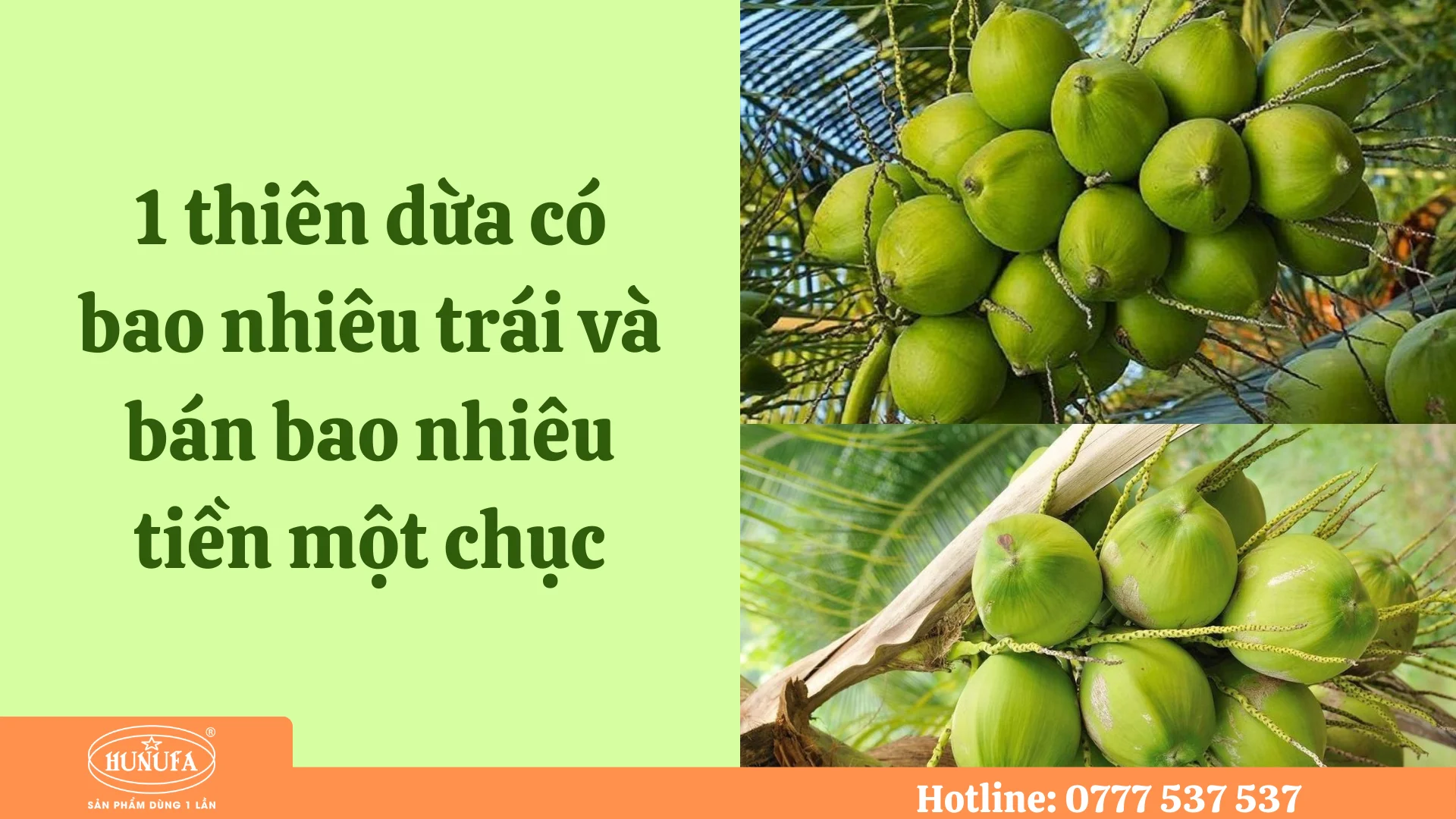 1 thiên dừa có bao nhiêu trái