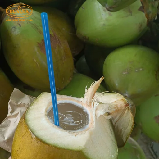 1 trái dừa có bao nhiêu ml