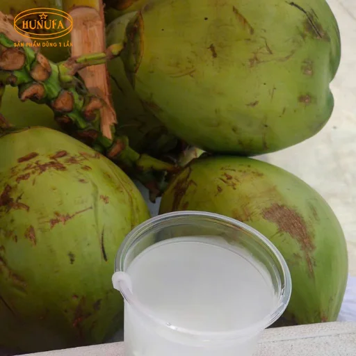 1 trái dừa có bao nhiêu ml