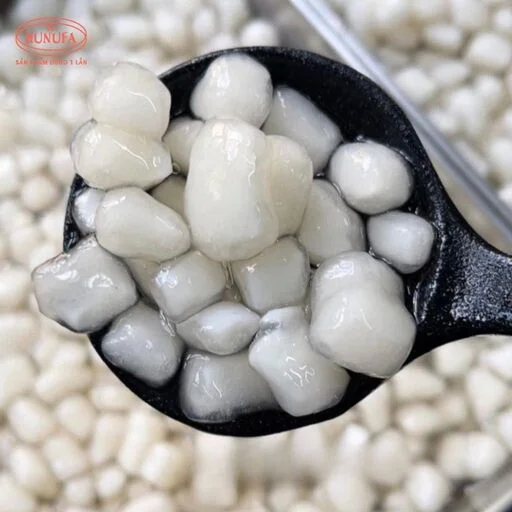 các loại dừa ở việt nam