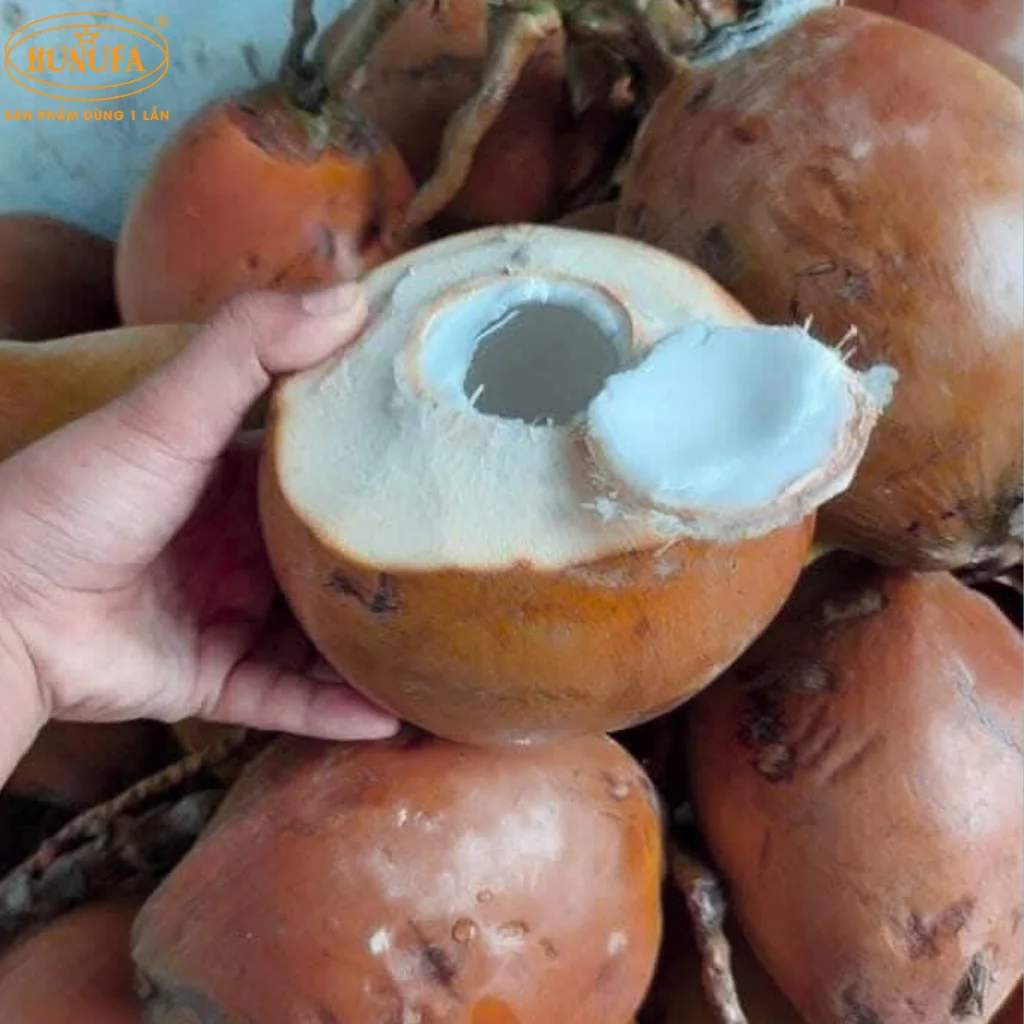 dừa lửa là dừa gì