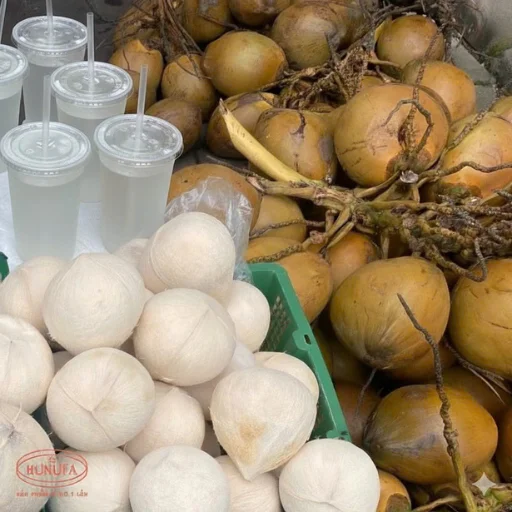 dừa xiêm giá sỉ ở TPHCM