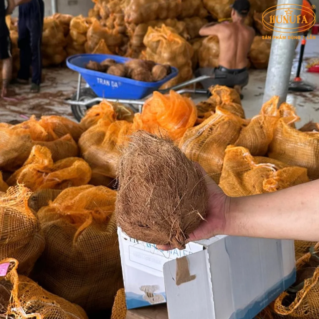 giá dừa xiêm bên tre