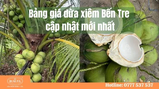 Giá dừa xiêm Bến Tre