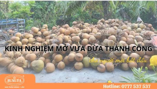 Kinh nghiệm mở vựa dừa