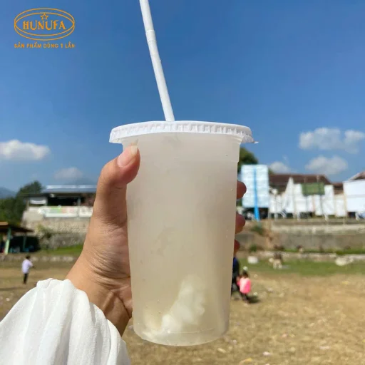 mua dừa xiêm giá sỉ ở hà nội