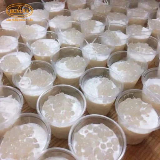 mua dừa xiêm giá sỉ ở hà nội