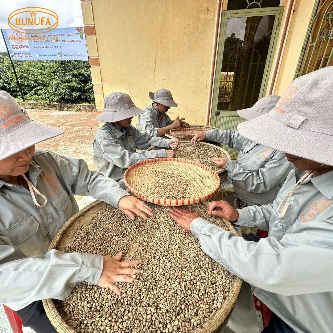 Tổng hợp các vựa cà phê uy tín, giá rẻ, chất lượng cao
