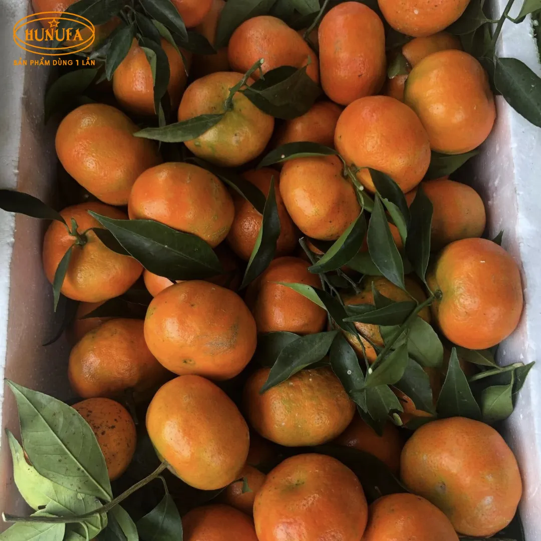 Vựa cam tươi ngon, cung cấp cam sỉ và lẻ, giá rẻ, đảm bảo chất lượng