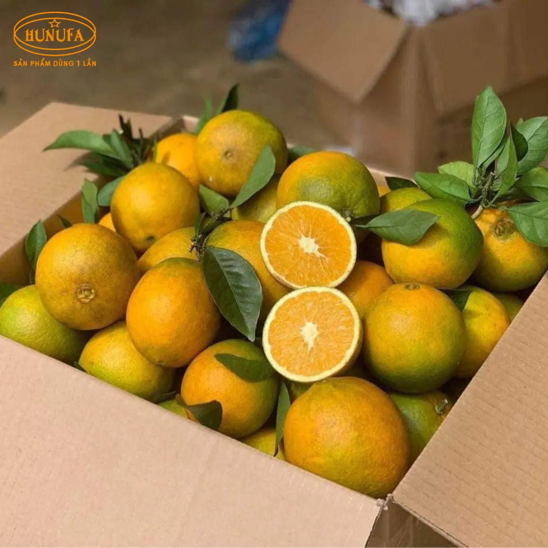 Vựa cam tươi ngon, cung cấp cam sỉ và lẻ, giá rẻ, đảm bảo chất lượng