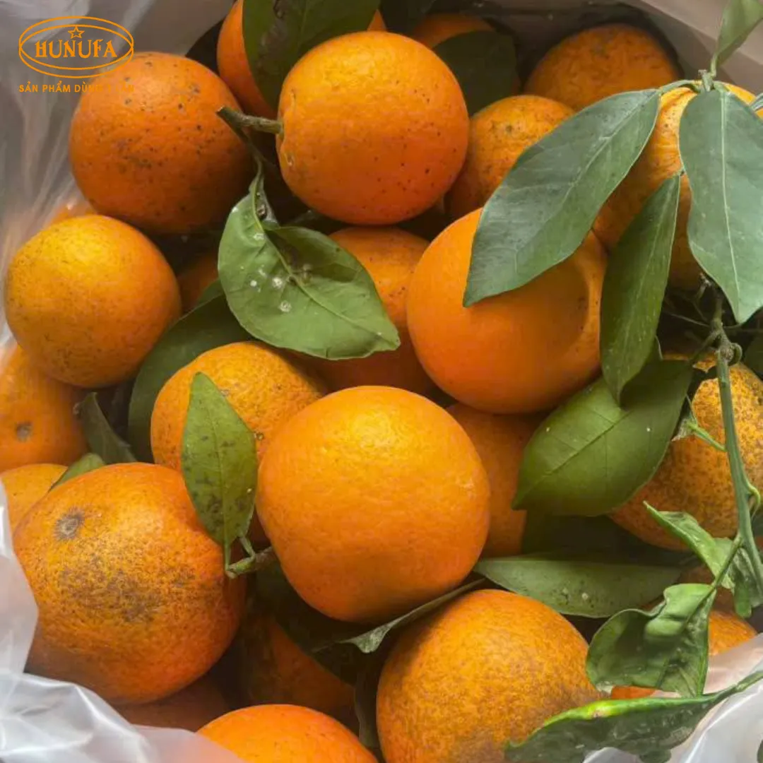 Vựa cam tươi ngon, cung cấp cam sỉ và lẻ, giá rẻ, đảm bảo chất lượng