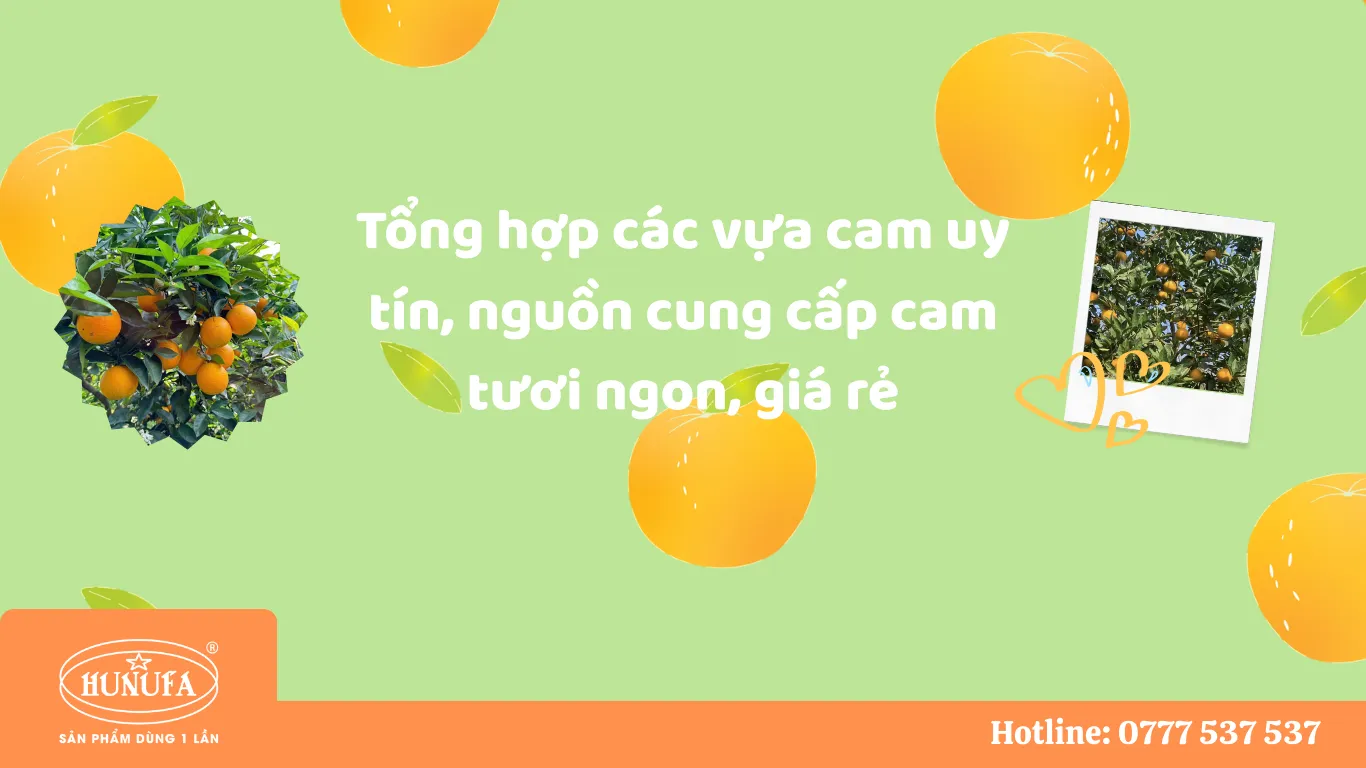 Vựa cam tươi ngon, cung cấp cam sỉ và lẻ, giá rẻ, đảm bảo chất lượng