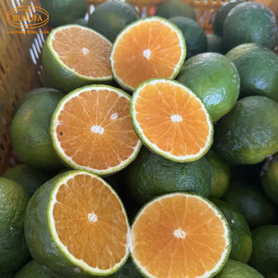 Vựa cam tươi ngon, cung cấp cam sỉ và lẻ, giá rẻ, đảm bảo chất lượng