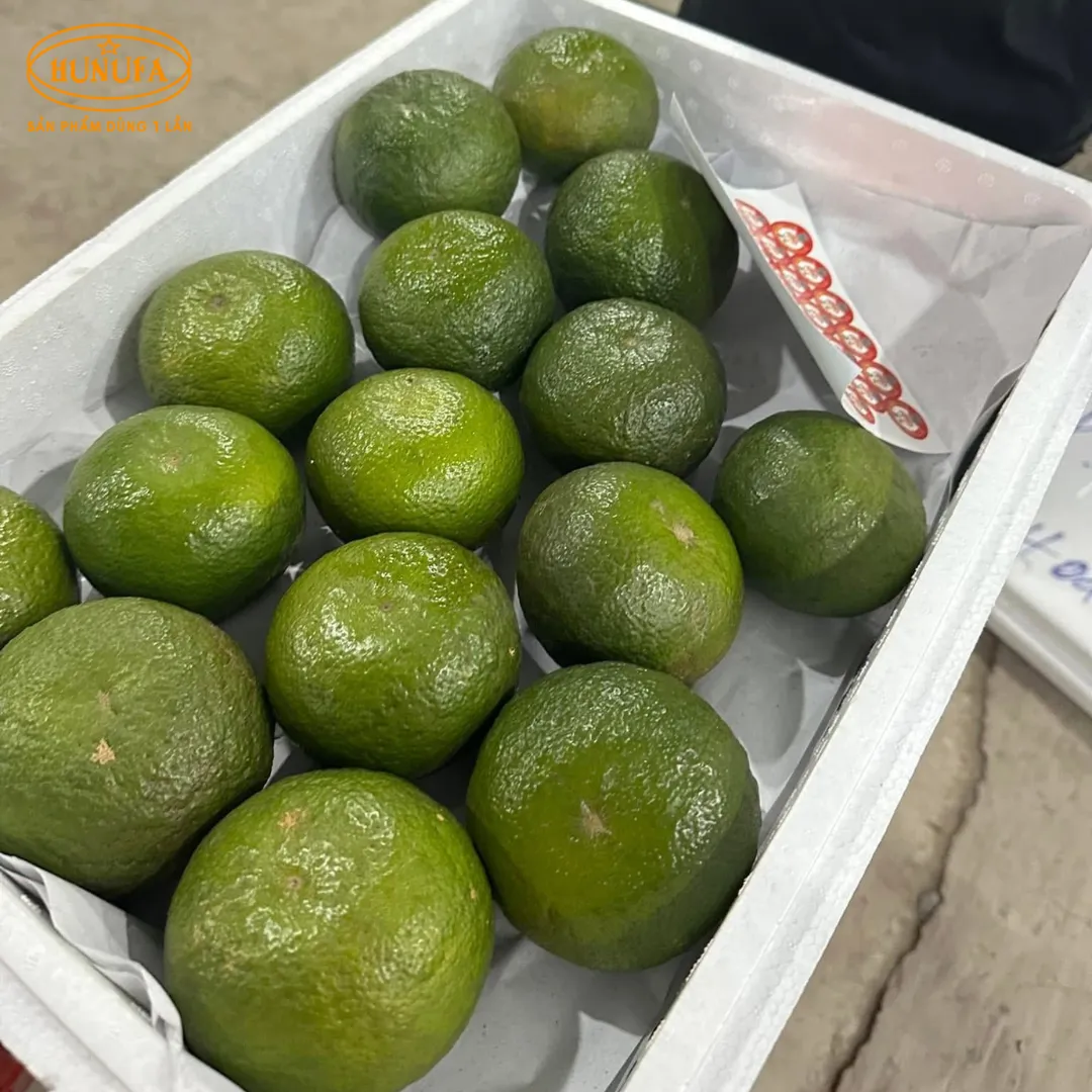 Vựa cam tươi ngon, cung cấp cam sỉ và lẻ, giá rẻ, đảm bảo chất lượng