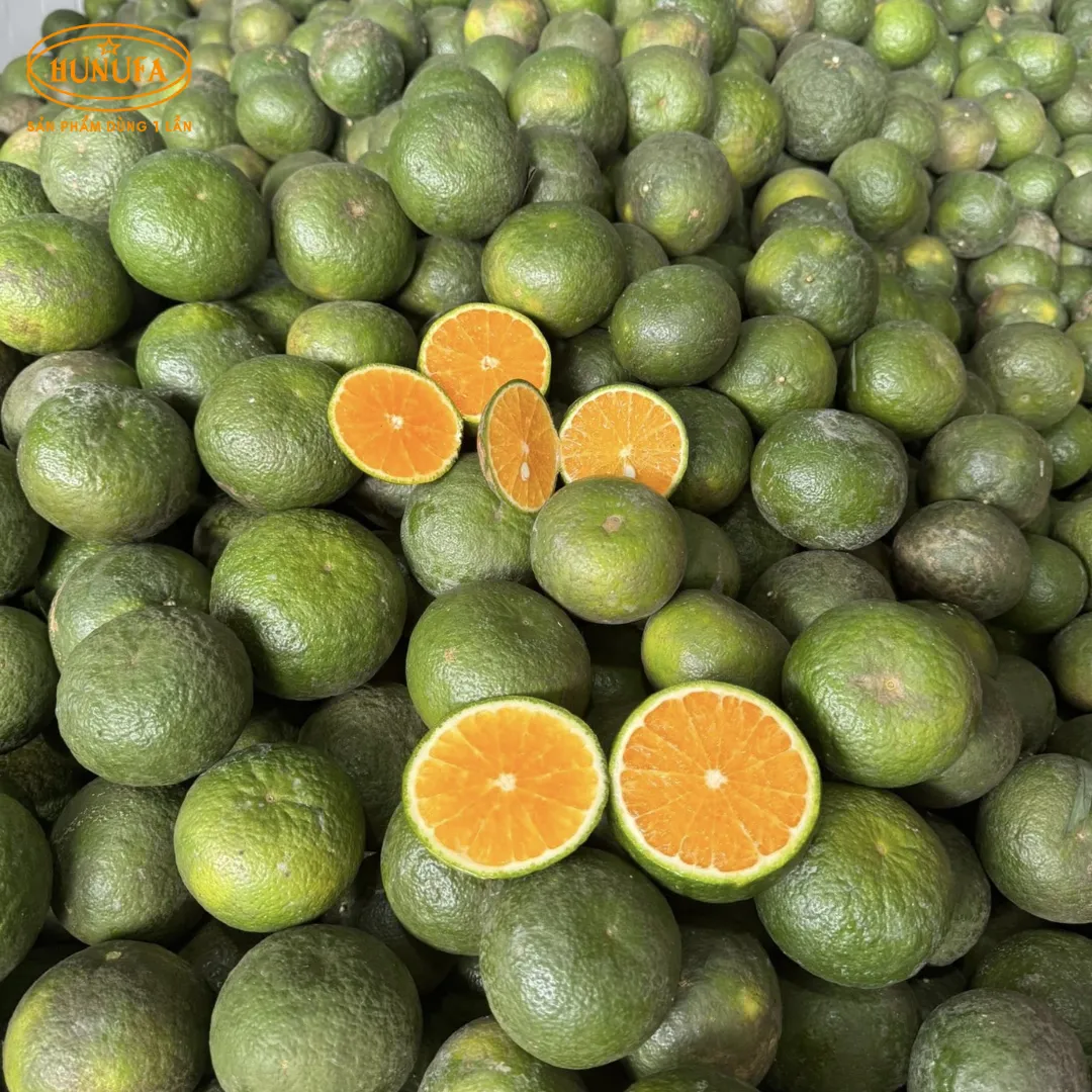 Vựa cam tươi ngon, cung cấp cam sỉ và lẻ, giá rẻ, đảm bảo chất lượng