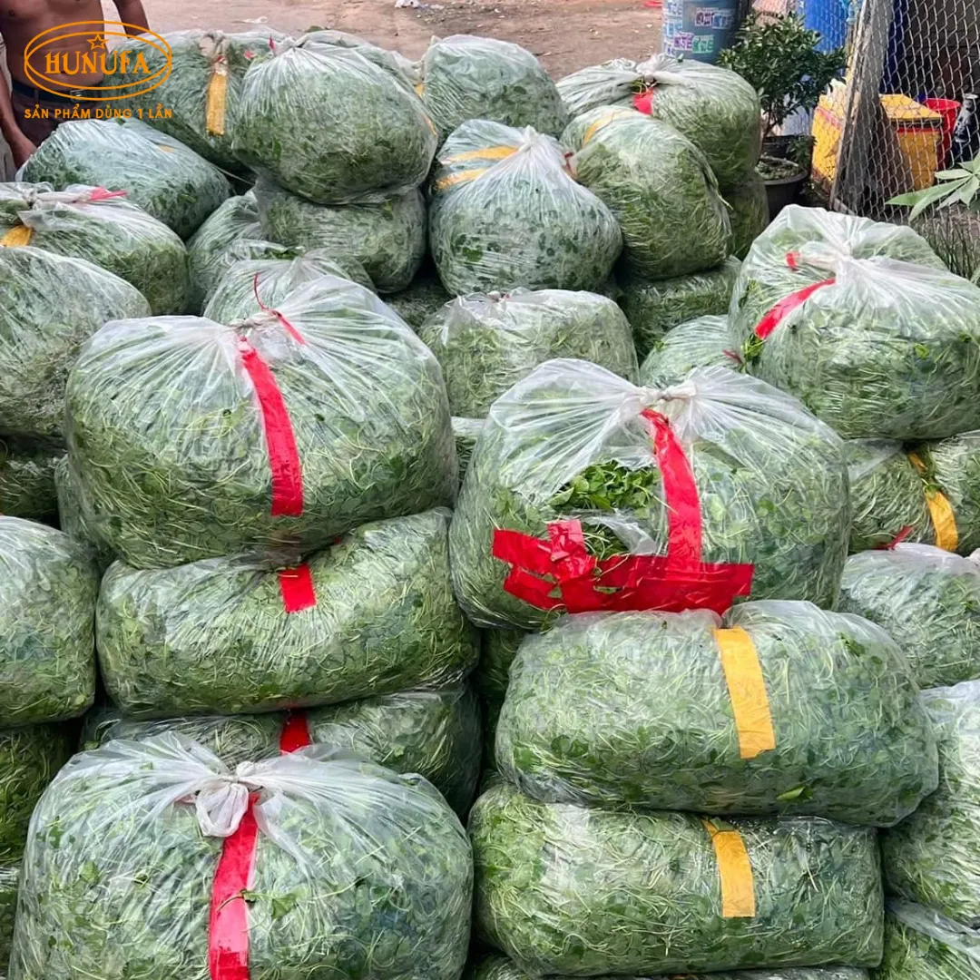 Tổng hợp các vựa rau má uy tín, giá sỉ cho hàng quán nước