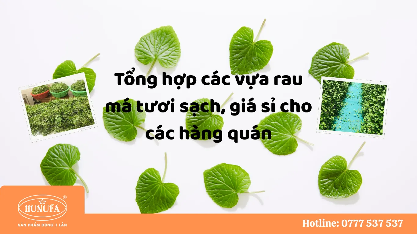 Tổng hợp các vựa rau má uy tín, giá sỉ cho hàng quán nước