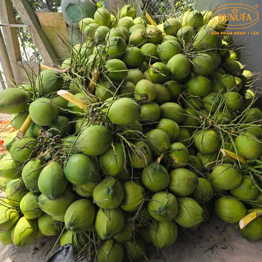 vựa dừa xiêm Bến Tre