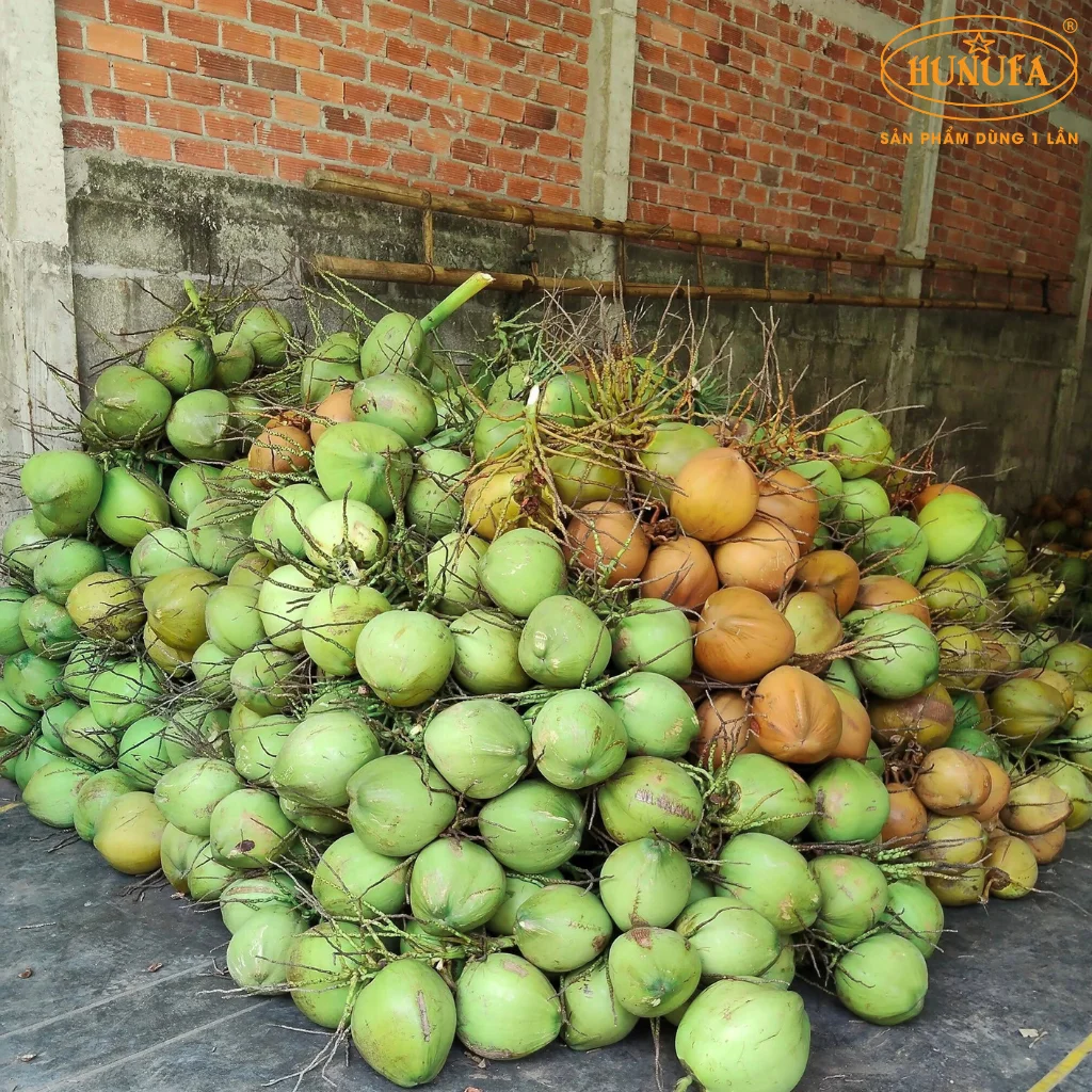 vựa dừa xiêm bến tre