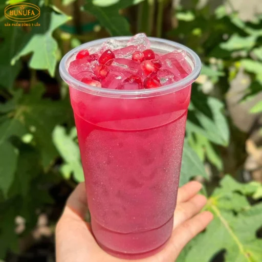 lập kế hoạch kinh doanh nước ép trái cây online