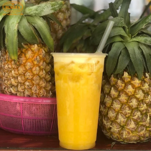 lập kế hoạch kinh doanh nước ép trái cây online