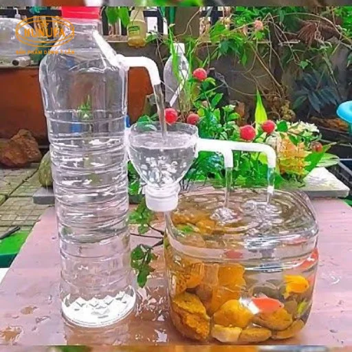 Các sản phẩm tái chế từ chai nhựa