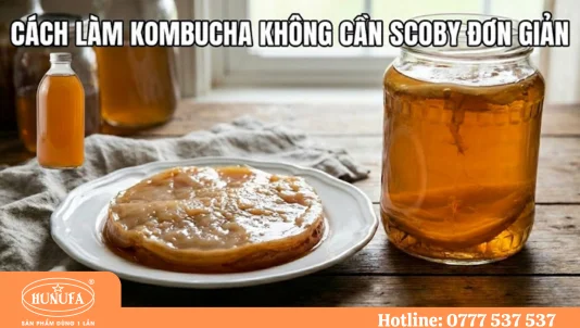Cách làm Kombucha không cần scoby đơn giản, làm tại nhà