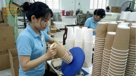 Tìm hiểu công nghệ sản xuất ly giấy hiện đại từ A-Z