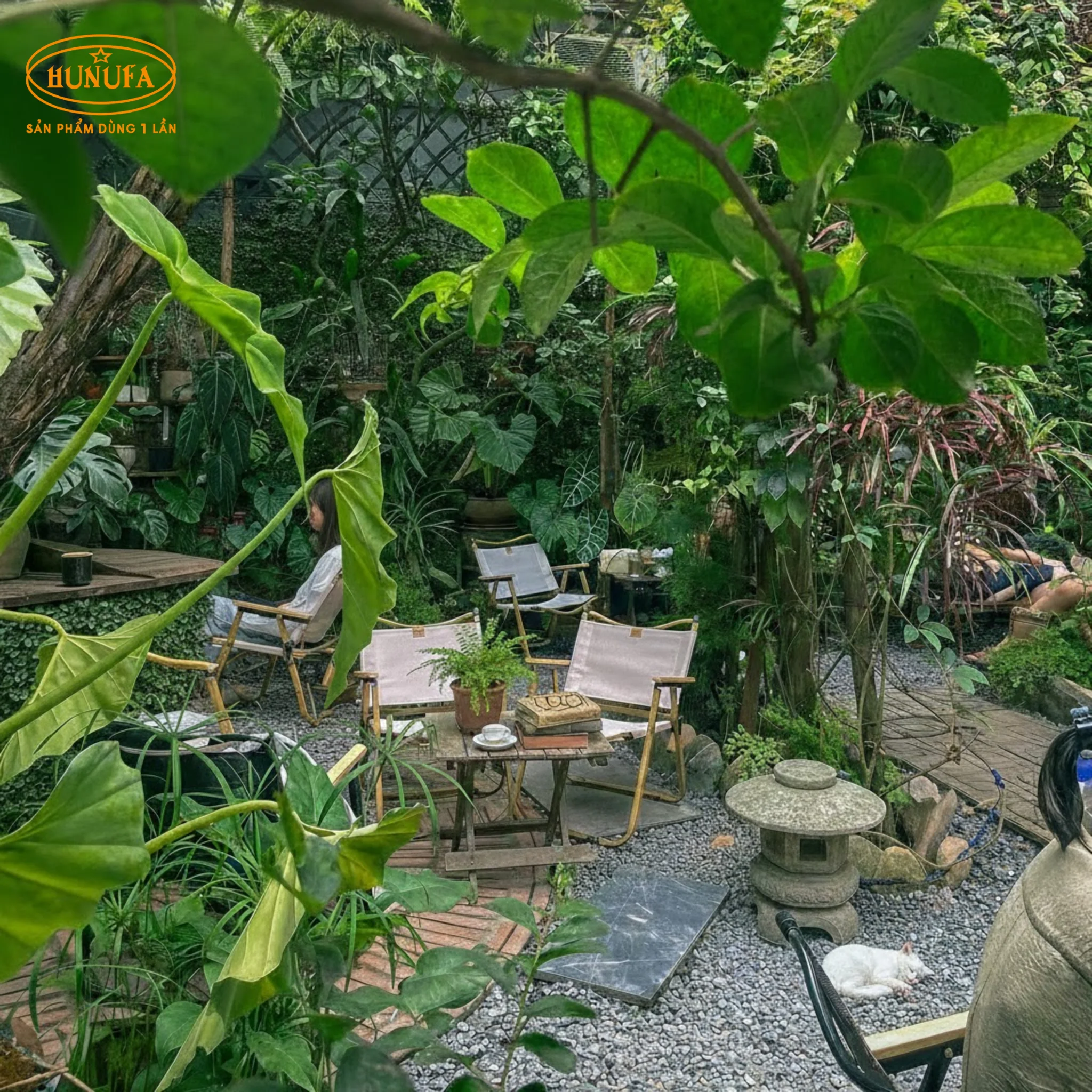 55+ Mẫu thiết kế quán cafe cây xanh đơn giản, giá rẻ, nhiều phong cách