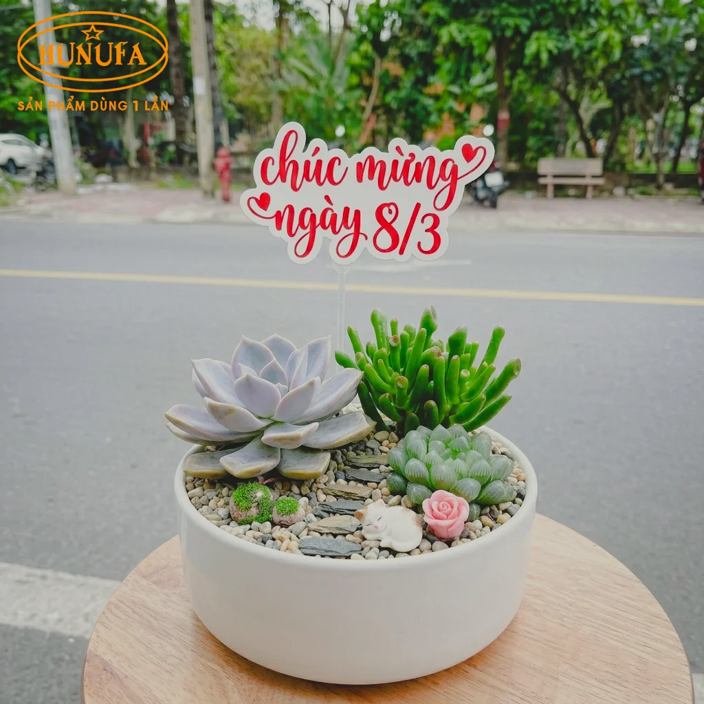 quà 8 3 dưới 100k